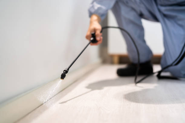 Licensed Termite Control service in Crainville, IL - Nex Pest Control