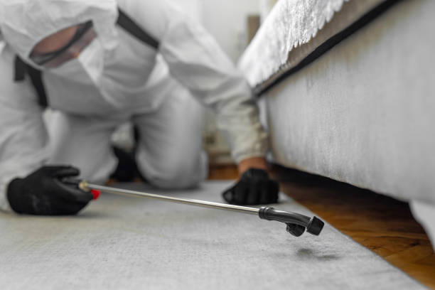 Professional Termite Control technician working in Crainville, IL