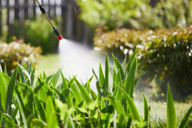 24/7 Emergency Termite Control experts in Crainville, IL