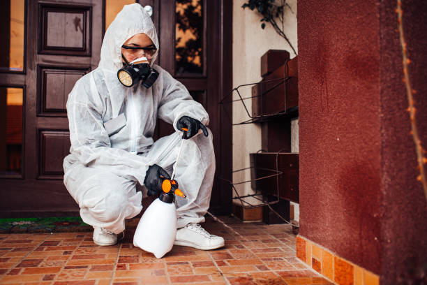 Reliable Termite Control contractor in Crainville, IL by Nex Pest Control