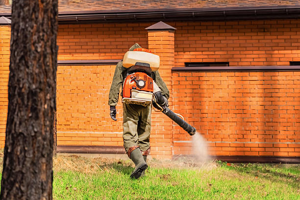 Top rated local Termite Control specialists in Crainville, IL